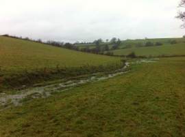 Flooded ditch