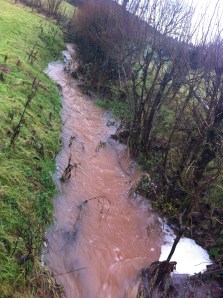 Flooded ditch below Caplor