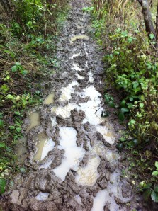 Marcle Ridge path underwater