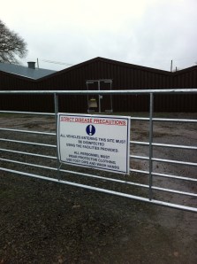 Broiler (intensive chicken) sheds 1