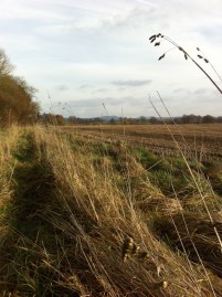 Cross country to Ledbury