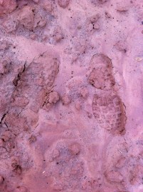 There and back again...2