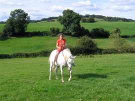 Merlin - bareback Rough Patch, Caplor