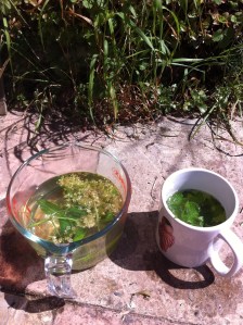 Elderflower and mint tea