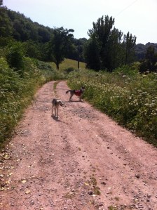 On the way to Crooked End