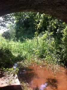 Hereford and Gloucester canal above Oxenhall