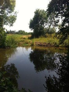 Tibberton Pond