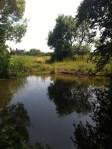Tibberton Pond