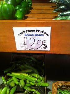 Over Farm broad beans