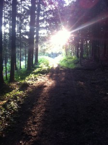 Setting sun along May Hill