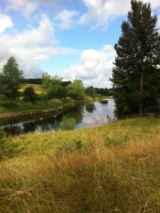 River Wye, Ingestone 2