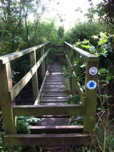 Wye Valley Walk bridge