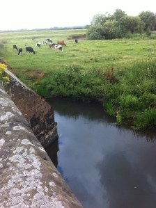 Lugg at Mordiford Bridge