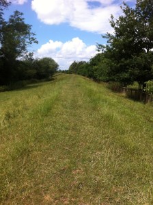 Stank at Hampton Bishop