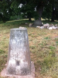 Capler Camp trigpoint