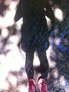 Ford at Brockmoor Farm