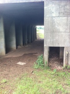 M50 footpath tunnel