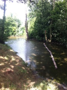 Lake at Timber Hall Farm