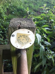 Dymock poets path again