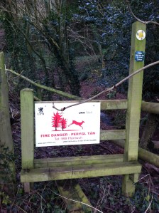 Perygl Tân - Athelstan's Wood