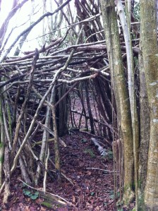 Den in the Athelstan's Wood