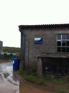 Merrivale Farm Organic Dairy