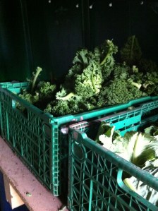 Merrivale Farm Shop 3