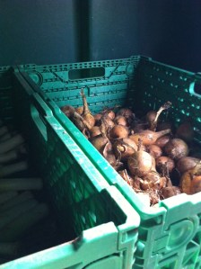 Merrivale Farm Shop 4