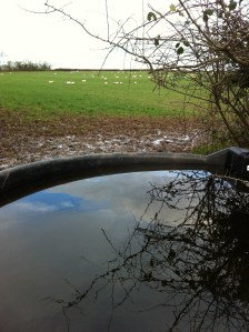 Water at Merrivale Farm