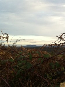 May Hill from Much Dewchurch