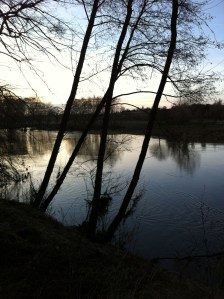 River Wye below Lyndor Wood 2